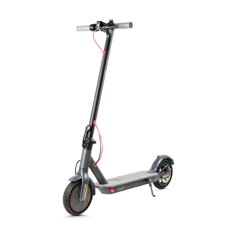350W Electric Scooter