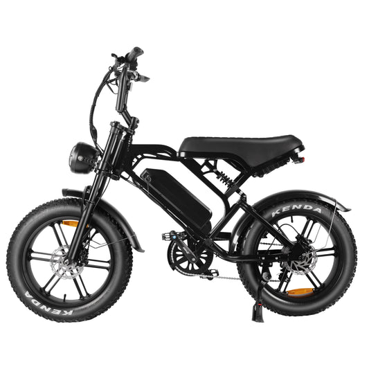 1000W Adult 24" Off-Road Electric Fat Tire Bike